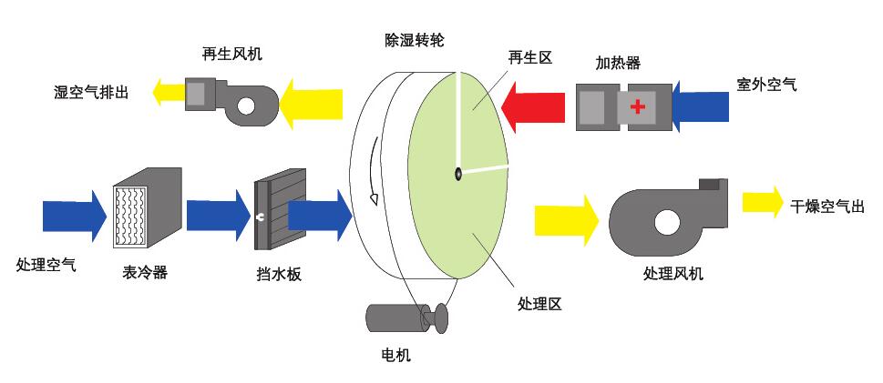 转轮91香蕉视频下载网站原理