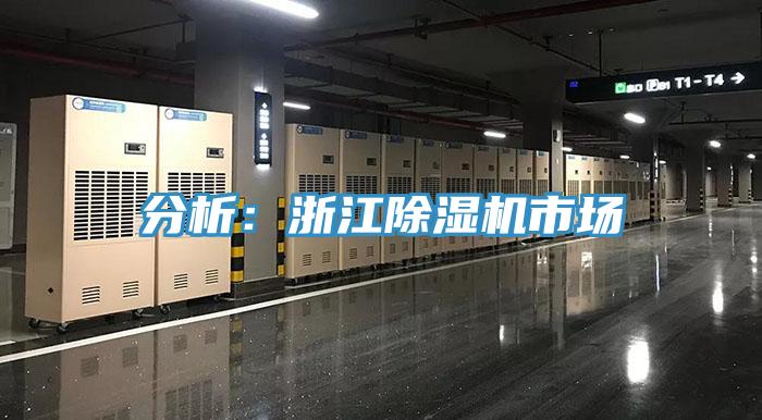分析：浙江91香蕉视频下载网站市场