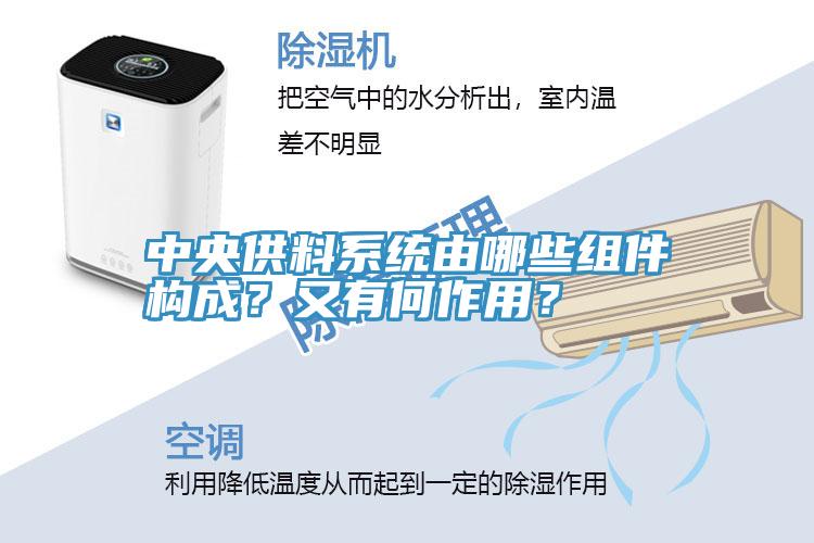 中央供料系统由哪些组件构成？又有何作用？