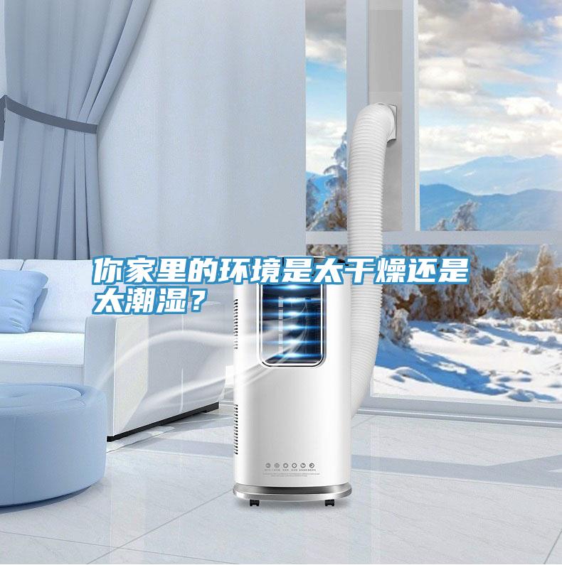 你家里的环境是太干燥还是太潮湿？