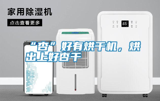 “杏”好有烘干机，烘出上好杏干
