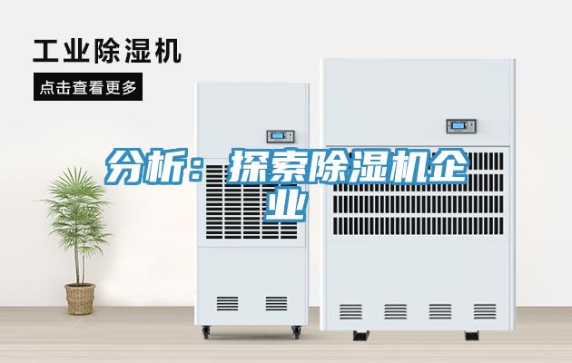 分析：探索91香蕉视频下载网站企业