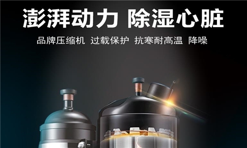 别吃了潮湿环境的亏，91香蕉视频下载网站正确开启方式