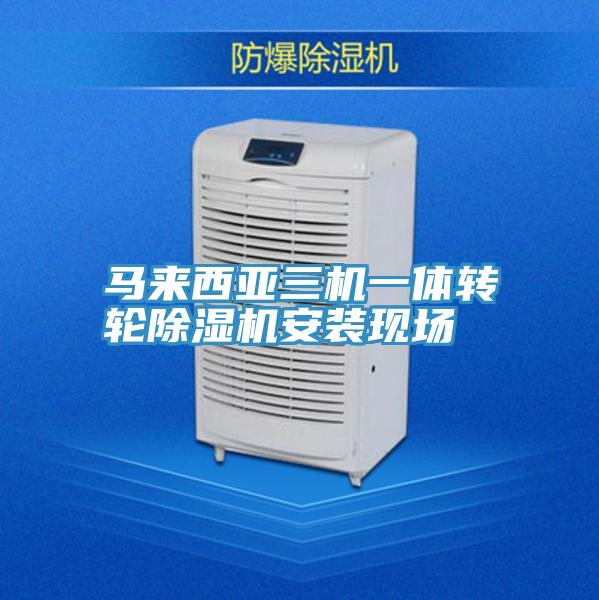 马来西亚三机一体转轮91香蕉视频下载网站安装现场