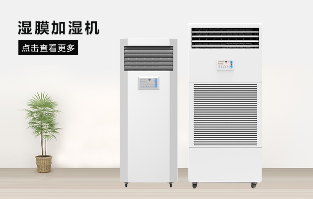 厦门91香蕉视频下载网站怎么选？