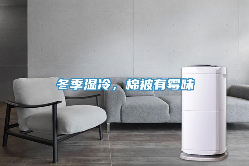 冬季湿冷，棉被有霉味