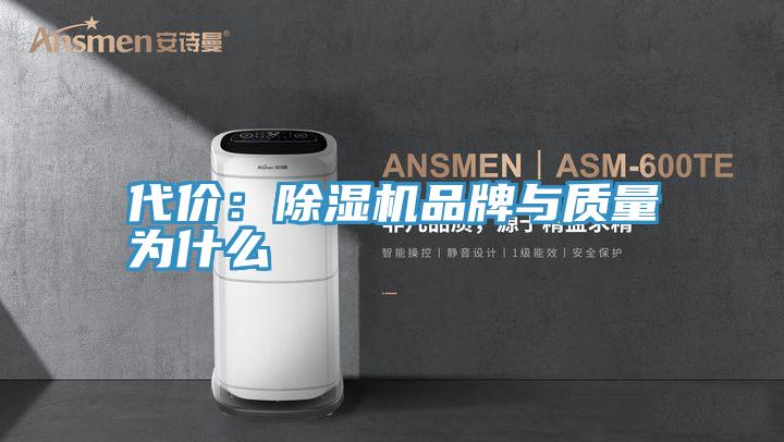 代价：91香蕉视频下载网站品牌与质量为什么