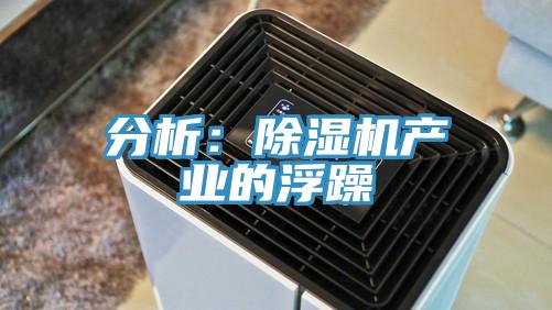 分析：91香蕉视频下载网站产业的浮躁