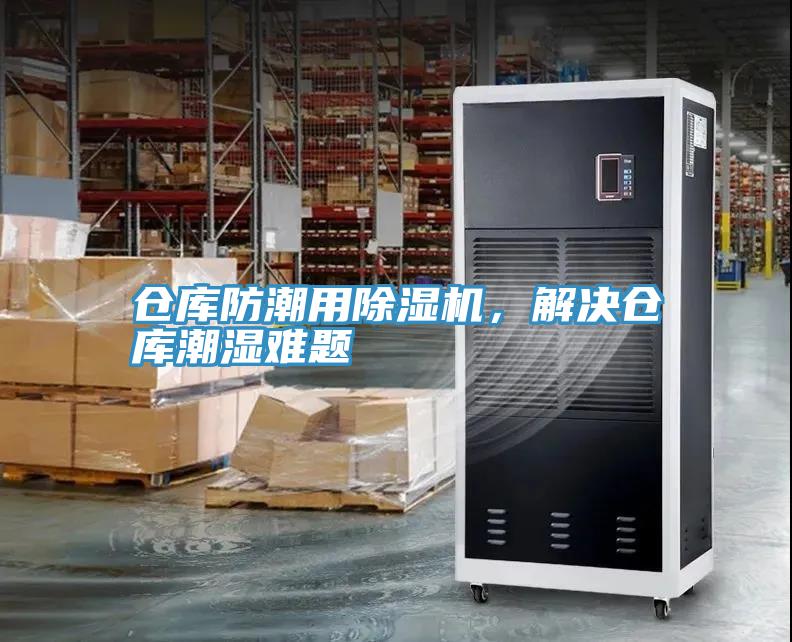 仓库防潮用91香蕉视频下载网站，解决仓库潮湿难题