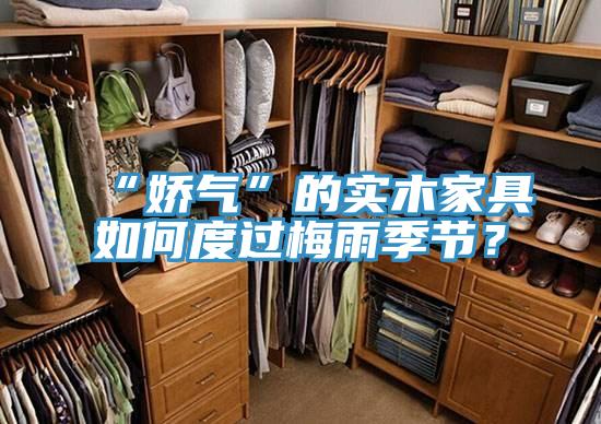 “娇气”的实木家具如何度过梅雨季节？