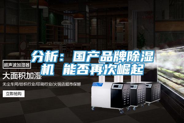 分析：国产品牌91香蕉视频下载网站 能否再次崛起