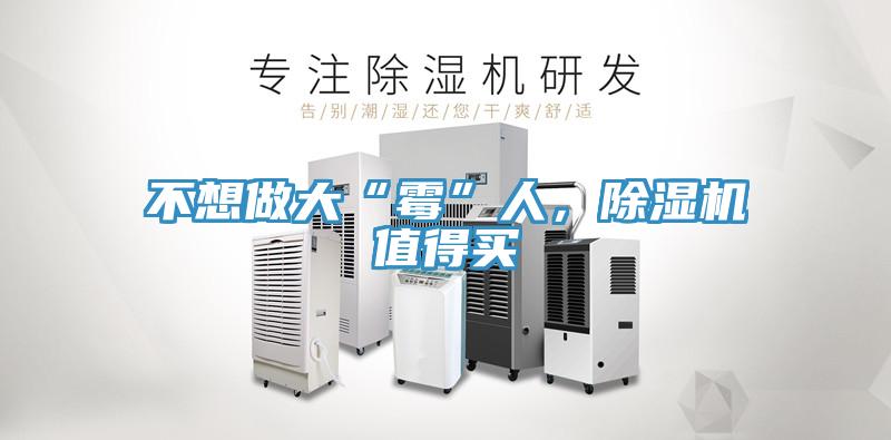 不想做大“霉”人，91香蕉视频下载网站值得买
