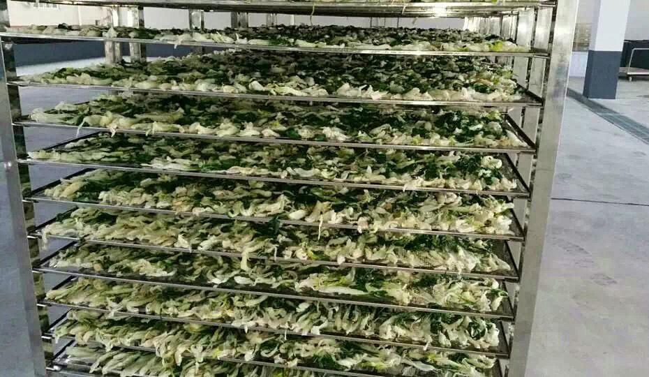 菜干需求一直都很大，蔬菜烘干机很有市场