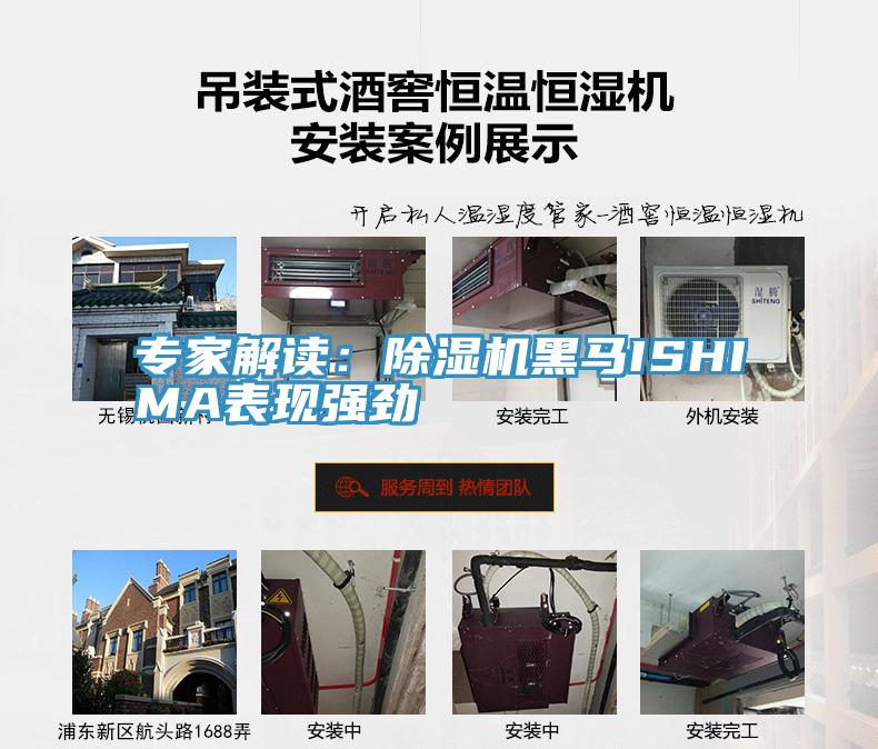 专家解读：91香蕉视频下载网站黑马ISHIMA表现强劲