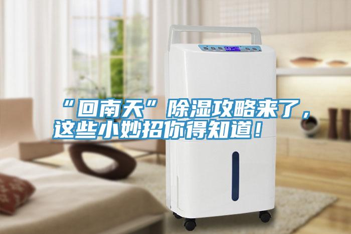 “回南天”除湿攻略来了，这些小妙招你得知道！