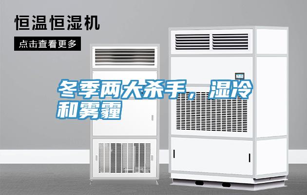 冬季两大杀手，湿冷和雾霾