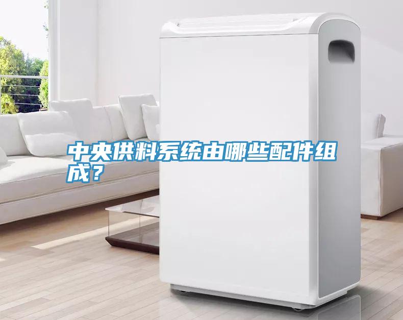中央供料系统由哪些配件组成？
