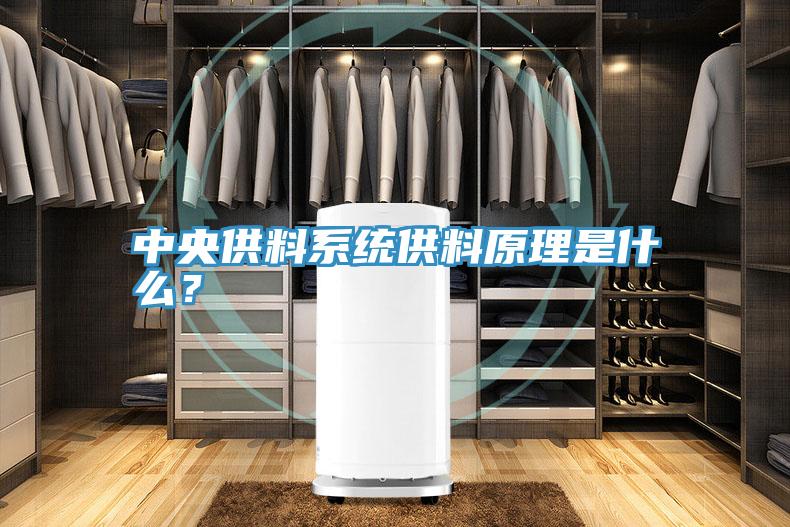 中央供料系统供料原理是什么？