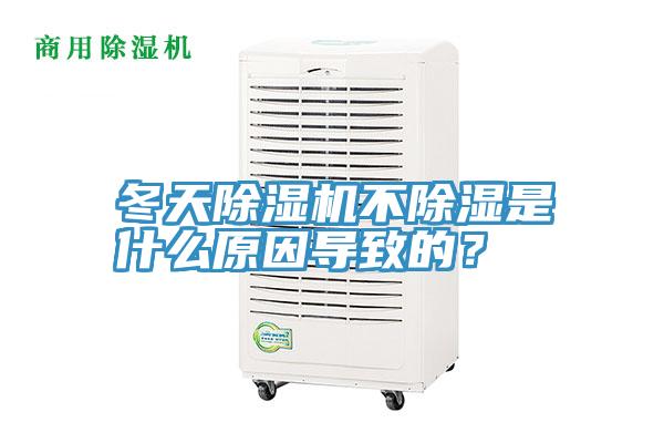 冬天91香蕉视频下载网站不除湿是什么原因导致的？