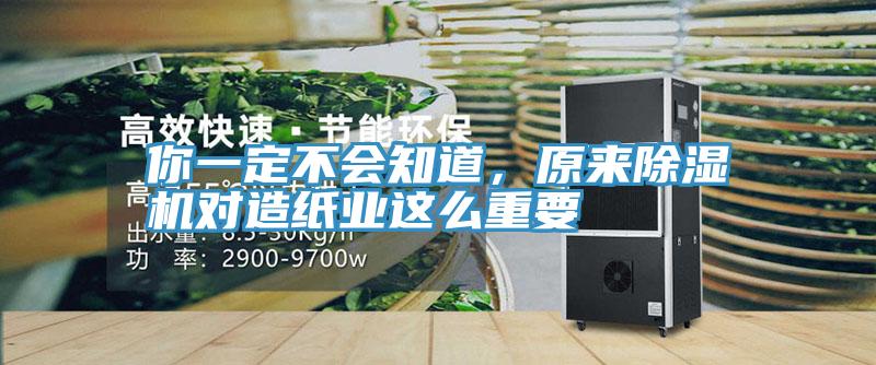 你一定不会知道，原来91香蕉视频下载网站对造纸业这么重要