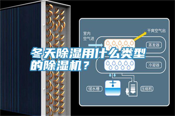 冬天除湿用什么类型的91香蕉视频下载网站？