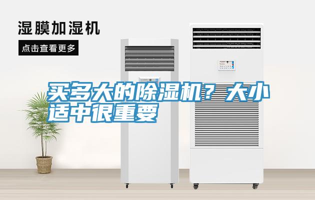 买多大的91香蕉视频下载网站？大小适中很重要