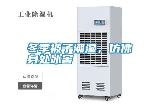 冬季被子潮湿，仿佛身处冰窖