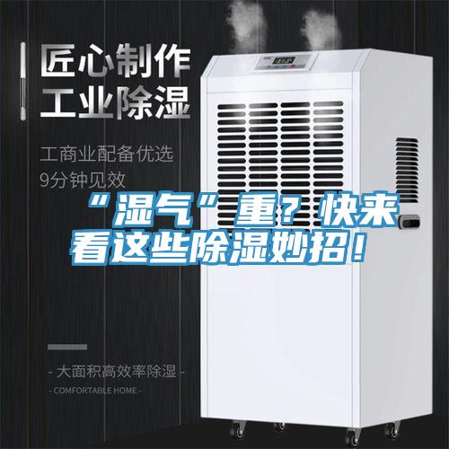 “湿气”重？快来看这些除湿妙招！