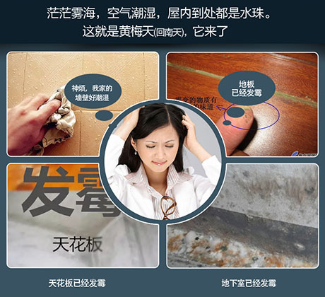 工业91香蕉视频下载网站厂家