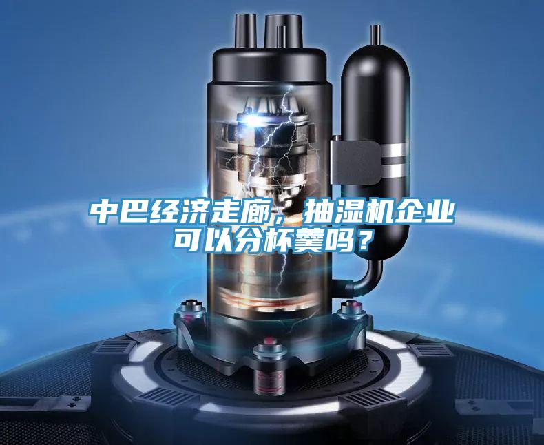 中巴经济走廊，抽湿机企业可以分杯羹吗？