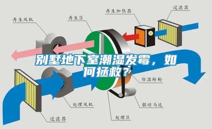 别墅地下室潮湿发霉，如何拯救？