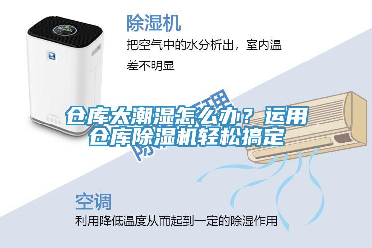 仓库太潮湿怎么办？运用仓库91香蕉视频下载网站轻松搞定