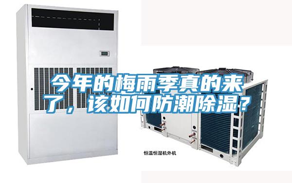 今年的梅雨季真的来了，该如何防潮除湿？