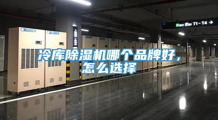 冷库91香蕉视频下载网站哪个品牌好，怎么选择