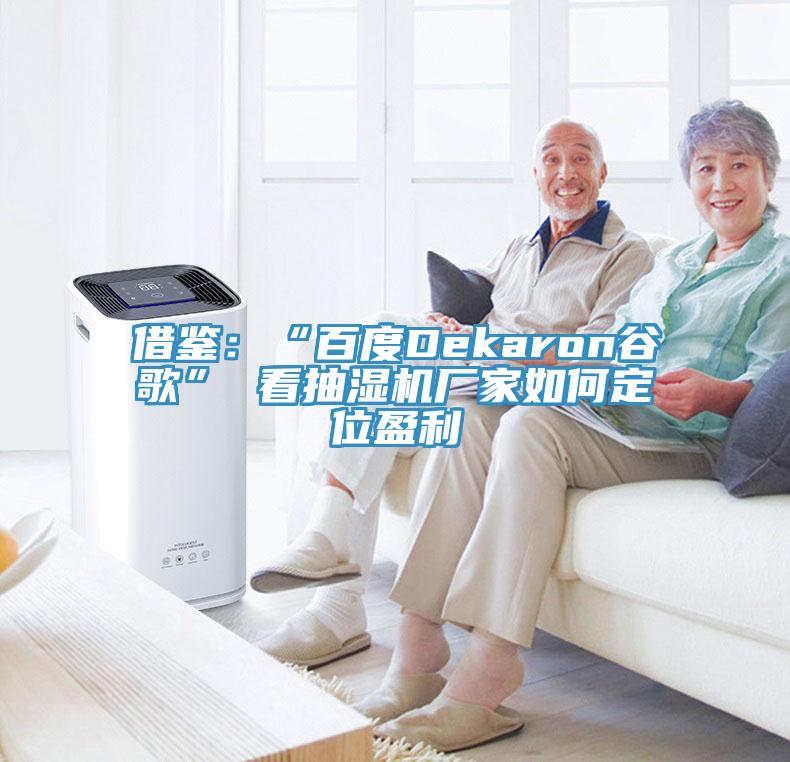 借鉴：“百度Dekaron谷歌” 看抽湿机厂家如何定位盈利
