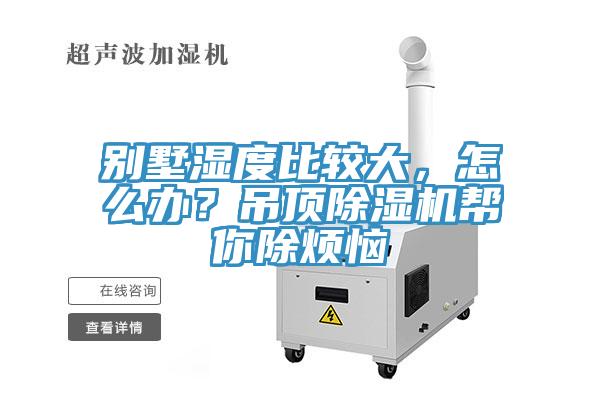 别墅湿度比较大，怎么办？吊顶91香蕉视频下载网站帮你除烦恼