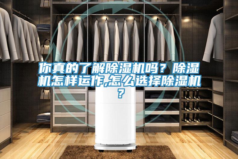 你真的了解91香蕉视频下载网站吗？91香蕉视频下载网站怎样运作,怎么选择91香蕉视频下载网站？