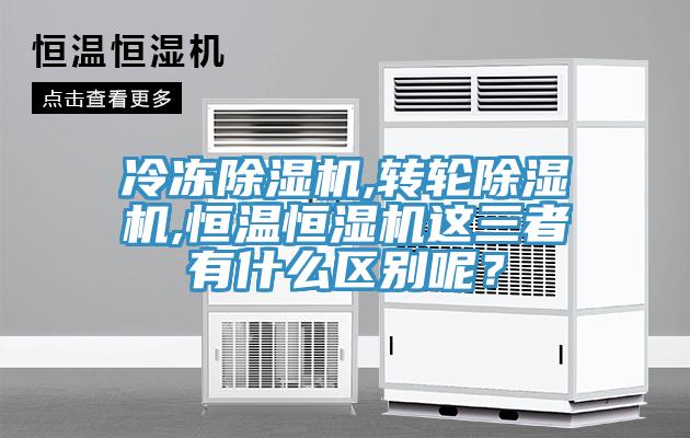 冷冻91香蕉视频下载网站,转轮91香蕉视频下载网站,恒温恒湿机这三者有什么区别呢？