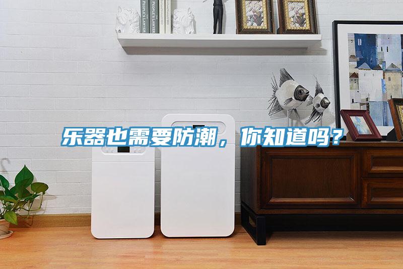 乐器也需要防潮，你知道吗？