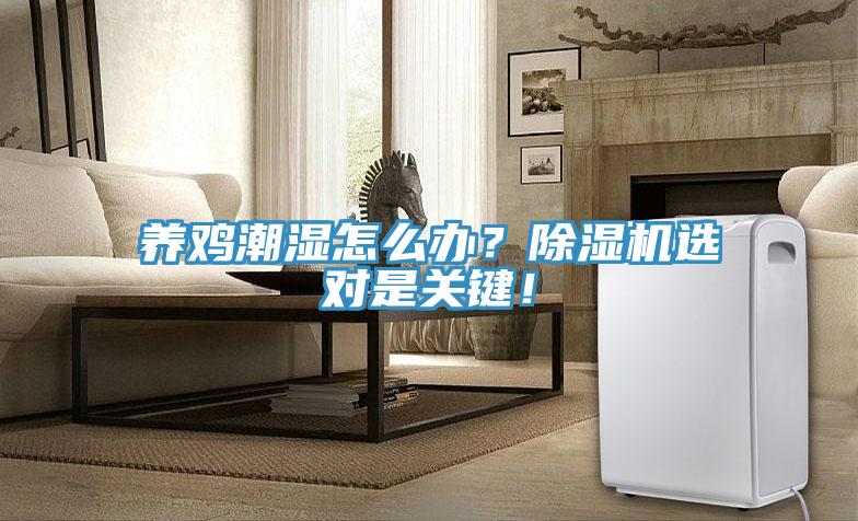 养鸡潮湿怎么办？91香蕉视频下载网站选对是关键！