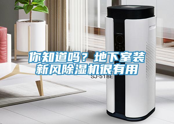 你知道吗？地下室装新风91香蕉视频下载网站很有用