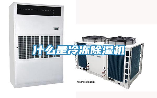 什么是冷冻91香蕉视频下载网站