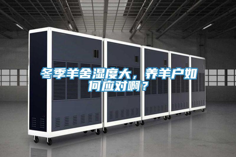 冬季羊舍湿度大，养羊户如何应对啊？