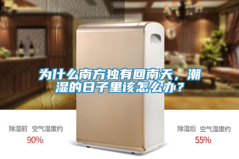 为什么南方独有回南天，潮湿的日子里该怎么办？