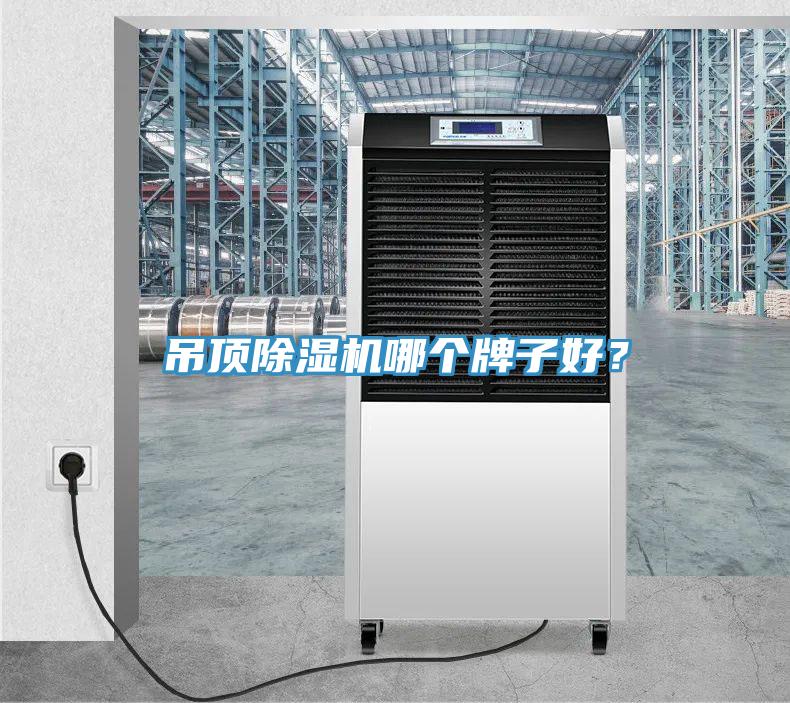 吊顶91香蕉视频下载网站哪个牌子好？