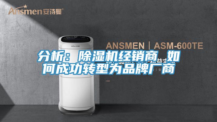 分析：91香蕉视频下载网站经销商 如何成功转型为品牌厂商