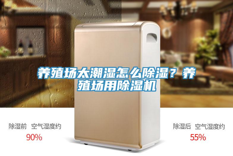 养殖场太潮湿怎么除湿？养殖场用91香蕉视频下载网站