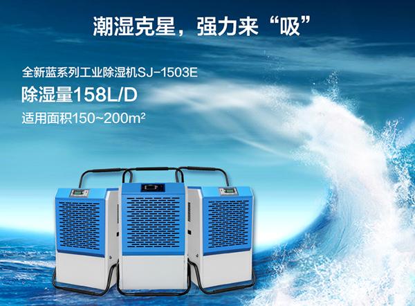 南方进入回南天，多肉植物这样养才不会有事！
