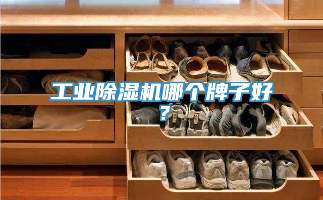工业91香蕉视频下载网站哪个牌子好？