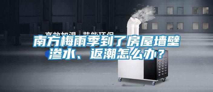 南方梅雨季到了房屋墙壁渗水、返潮怎么办？